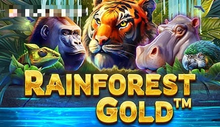 Rainforest Gold